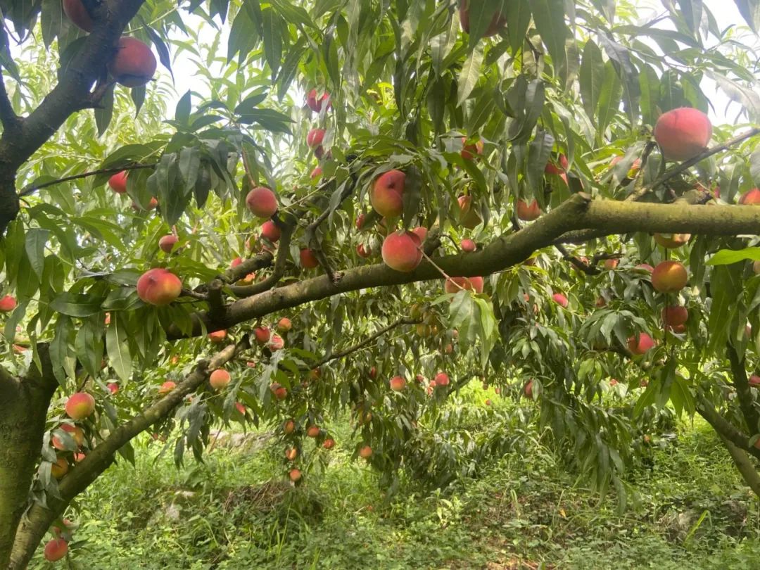 6cd4265905a75dd2ea5d343cefedbcc9.jpg 6cd4265905a75dd2ea5d343cefedbcc9.jpg