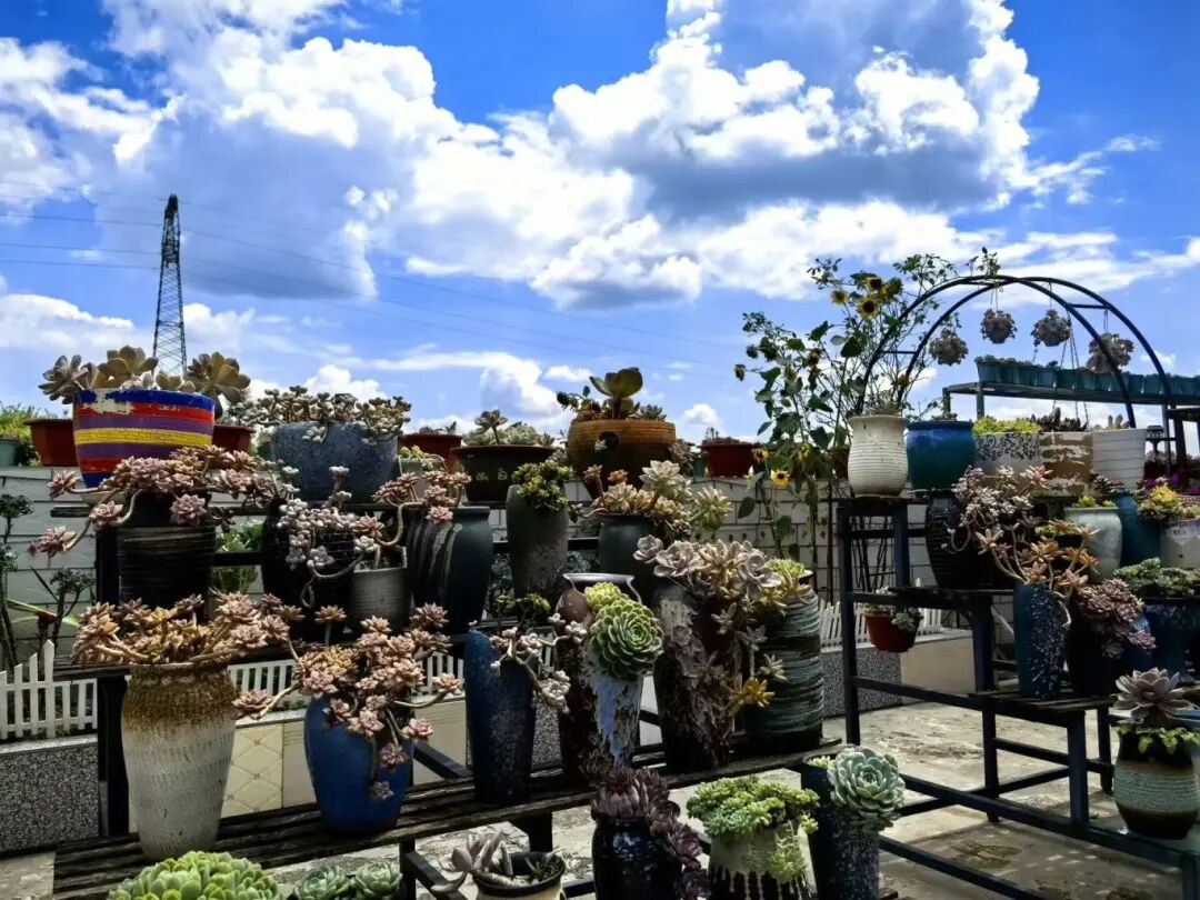 c1bc70412cf605ea3d535bad2c068bfe.jpg c1bc70412cf605ea3d535bad2c068bfe.jpg