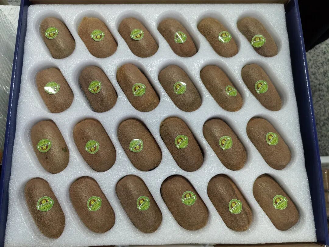 d3c9338cd72b3b74d479744ca085cc16.jpg d3c9338cd72b3b74d479744ca085cc16.jpg