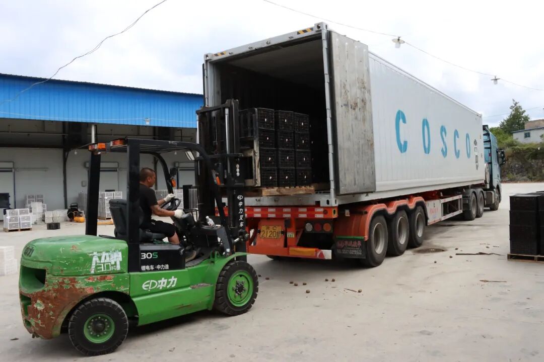 fc61696b37390b619d408ef7c3861e8b.jpg fc61696b37390b619d408ef7c3861e8b.jpg