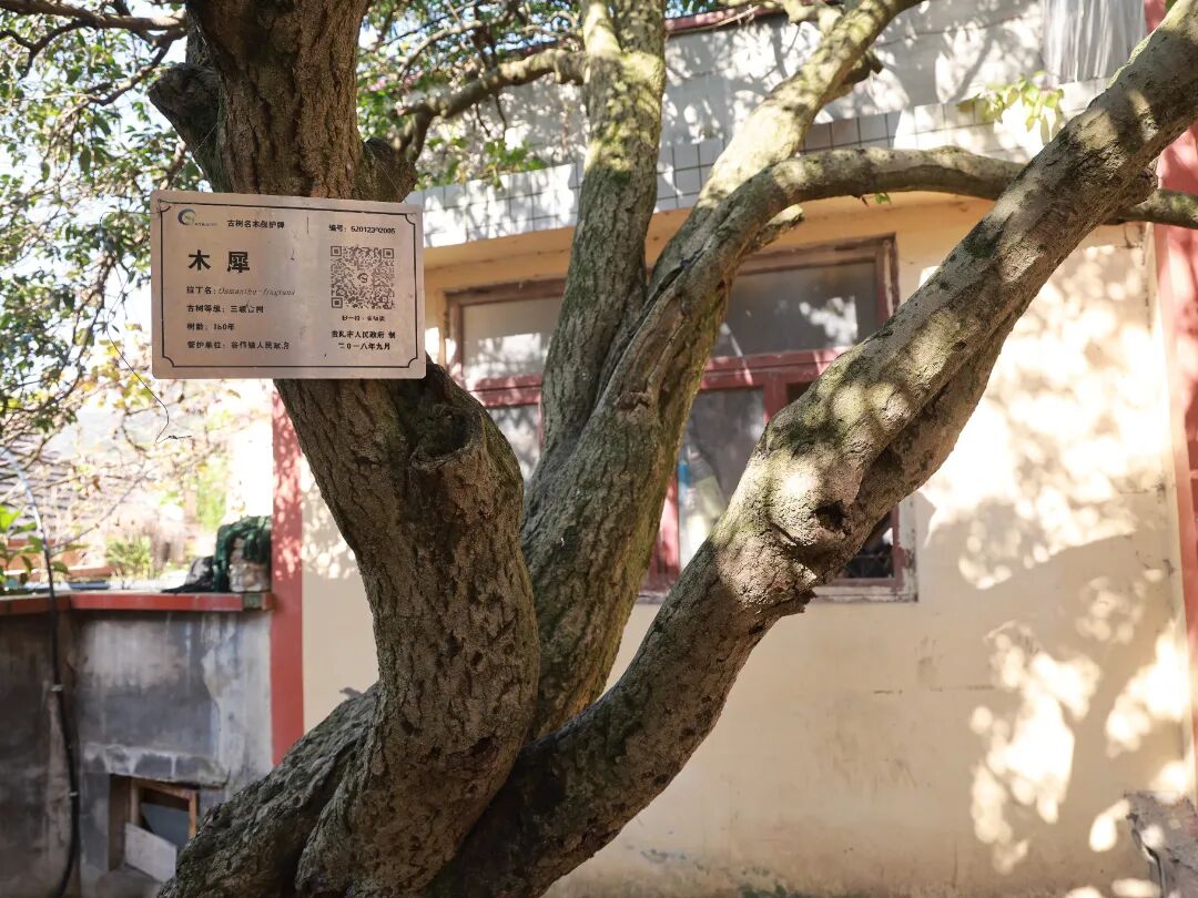 d5d17d2894cfcb0627f84dd13f41ee21.jpg d5d17d2894cfcb0627f84dd13f41ee21.jpg